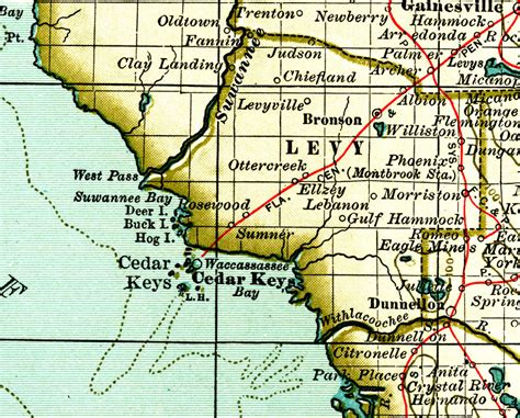 Levy county florida - Levy County, Florida. X. Levy County, Florida has 1,118.3 square miles of land area and is the 9th largest county in. Florida. by. total area. Levy County, Florida is bordered by. …